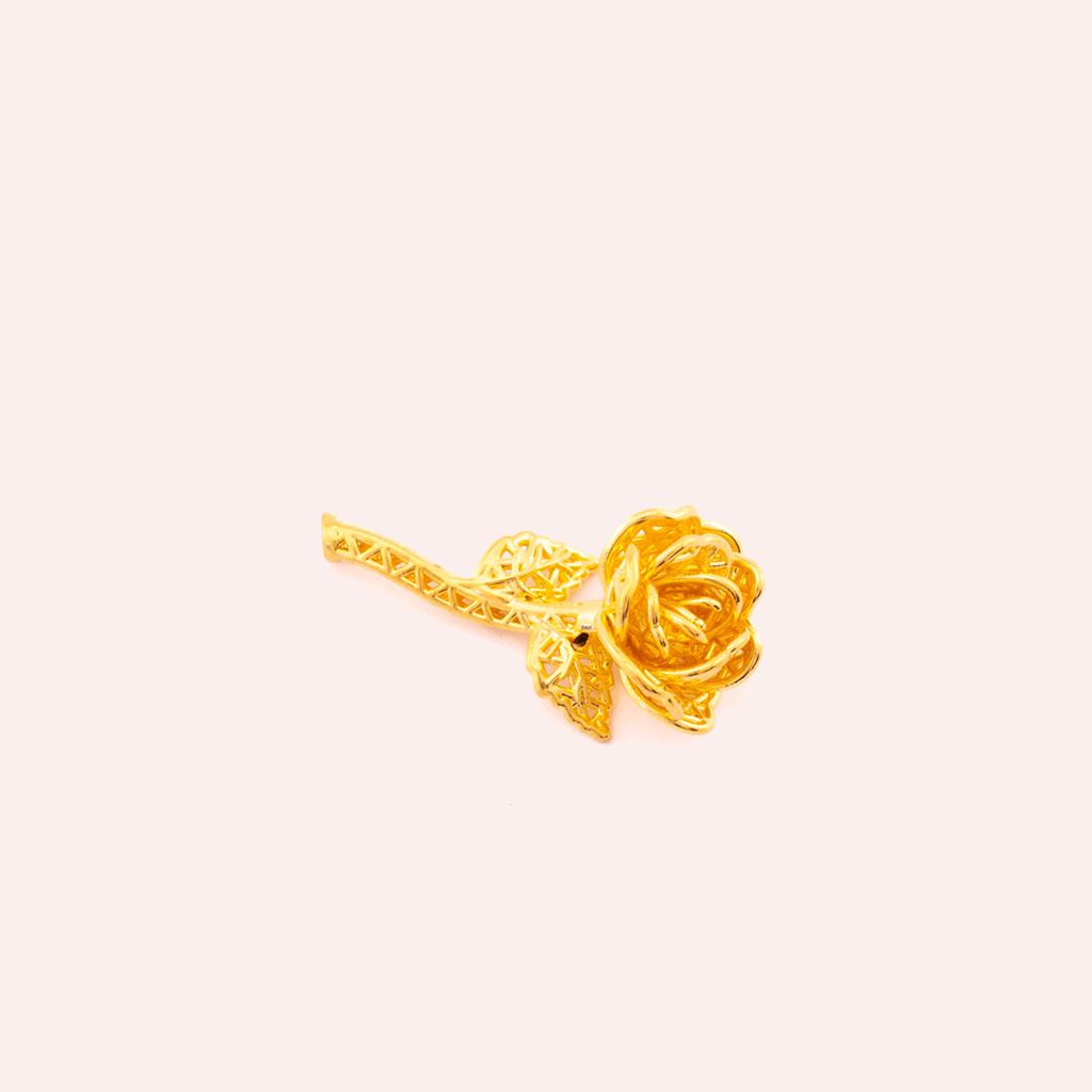 zoom jewelry picture