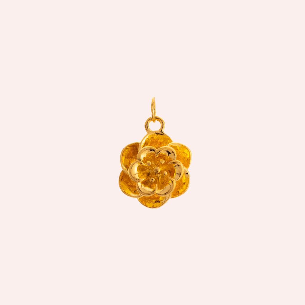 zoom jewelry picture